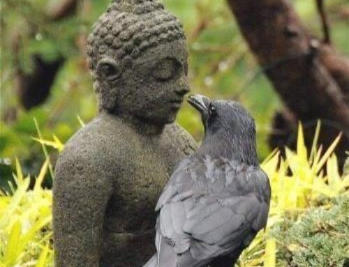 The Story of the Buddha and the Crow
