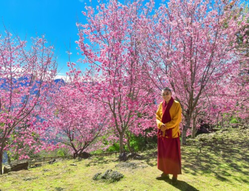 Photos: Conclusion 2nd Amitabha Dechen Shingdrup in Taiwan