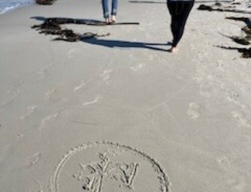 Photos from Asilomar Beach Walking Meditation Day